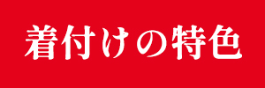 着付けの特色へのリンク画像